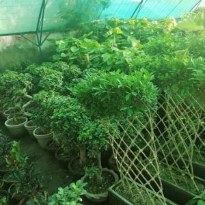 Fb Img 1717138361150