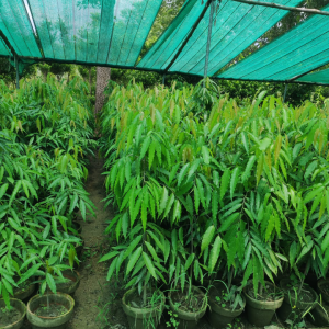 Screenshot 20240527 110530