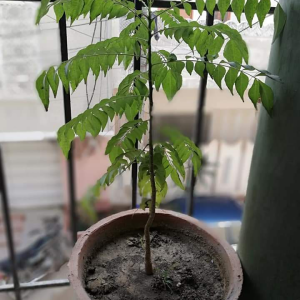 Screenshot 20240527 110559