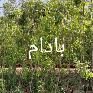 Screenshot 20240527 110611