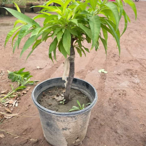 Screenshot 20240527 110639