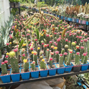 Screenshot 20240527 110703