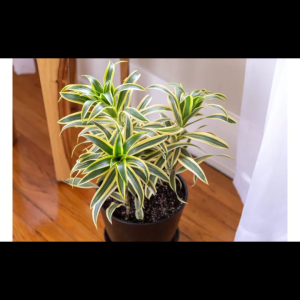 Screenshot 20240527 110714