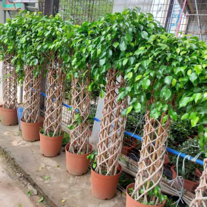 Screenshot 20240527 110818