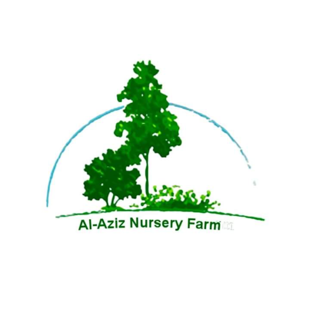 Al Aziz Nursery