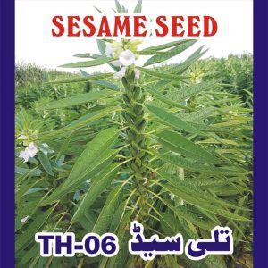 Fb Img 1719480233639