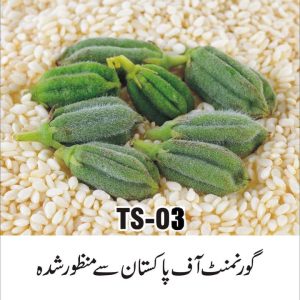 Fb Img 1719480235988