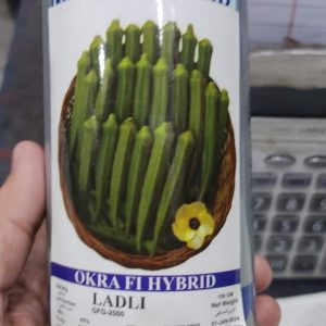 Fb Img 1719480392486