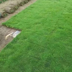 Fb Img 1719490473956