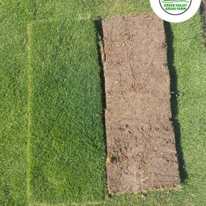 Fb Img 1719490487496