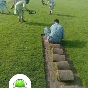 Fb Img 1719490494839