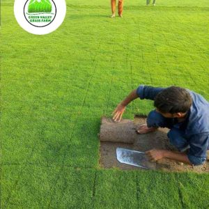 Fb Img 1719490501764