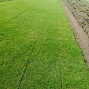 Fb Img 1719490508846