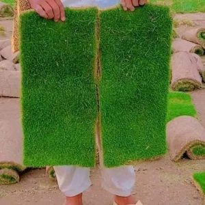 Fb Img 1719490554187