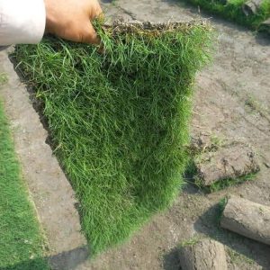 Fb Img 1719490564293