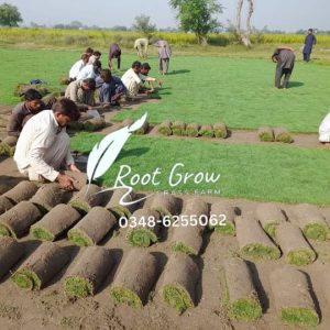 Fb Img 1719495294742