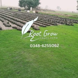 Fb Img 1719495309544