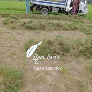 Fb Img 1719495362582