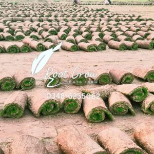 Fb Img 1719495411254