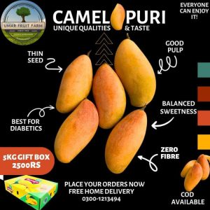 Fb Img 1719737401714