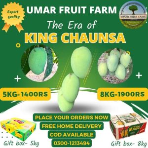 Fb Img 1719737423508