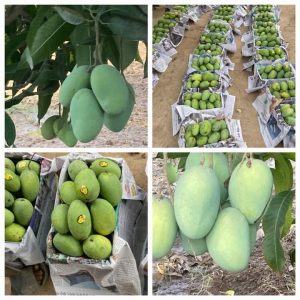 Fb Img 1719737570406