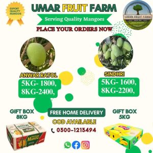 Fb Img 1719737582117