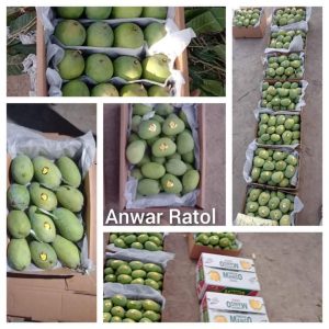 Fb Img 1719737587591