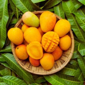 Fb Img 1719738261320