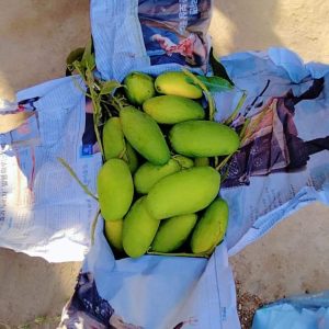 Fb Img 1719738297583