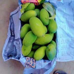 Fb Img 1719738307615