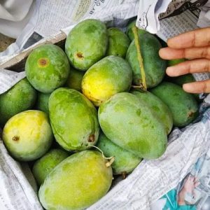 Fb Img 1719738320728