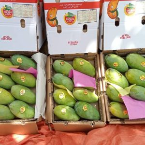 Fb Img 1719738334994