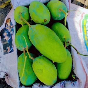 Fb Img 1719738337391