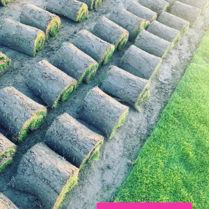 Screenshot 20240627 120227