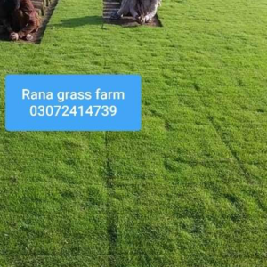 Screenshot 20240627 120259