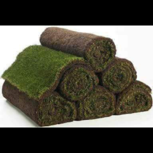 Screenshot 20240627 120308