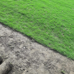 Screenshot 20240627 120335