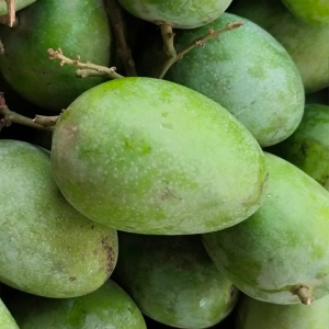 Screenshot 20240630 172718