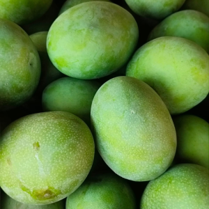 Screenshot 20240630 172737