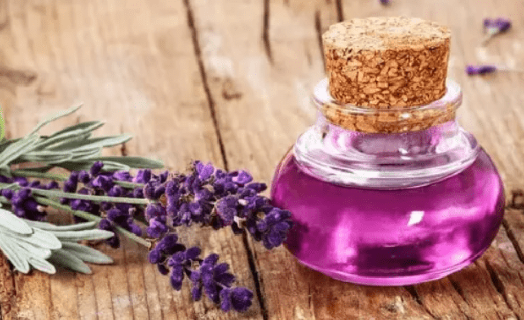 Make Lavender Oil At Home