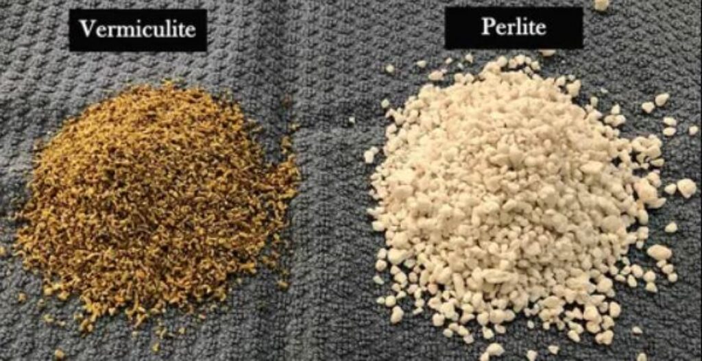 Vermiculite And Perlite