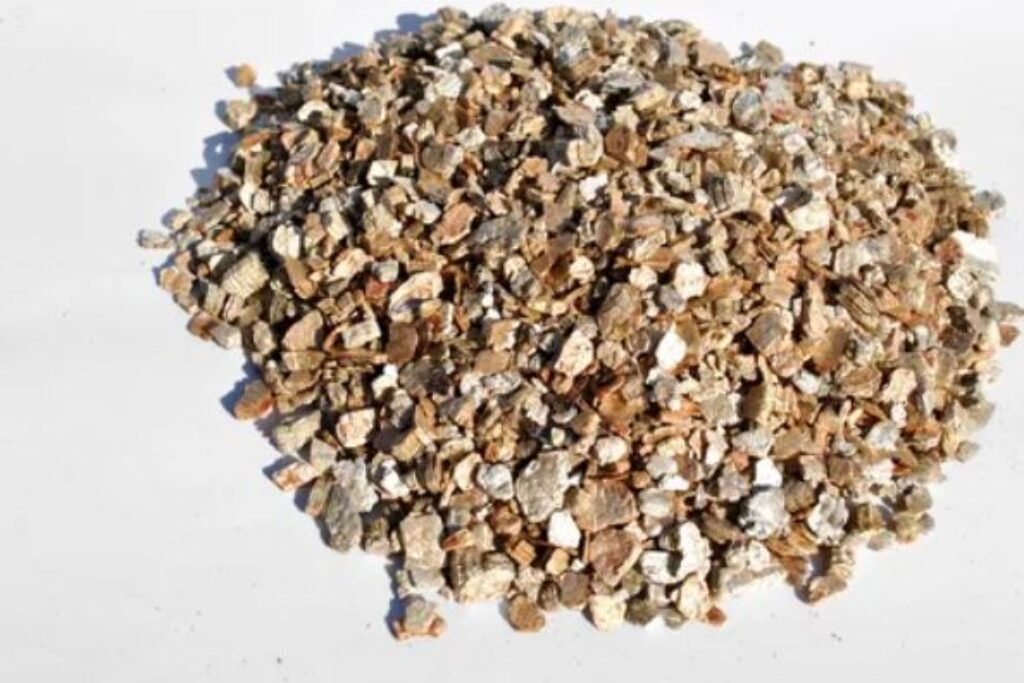 Vermiculite For Plant