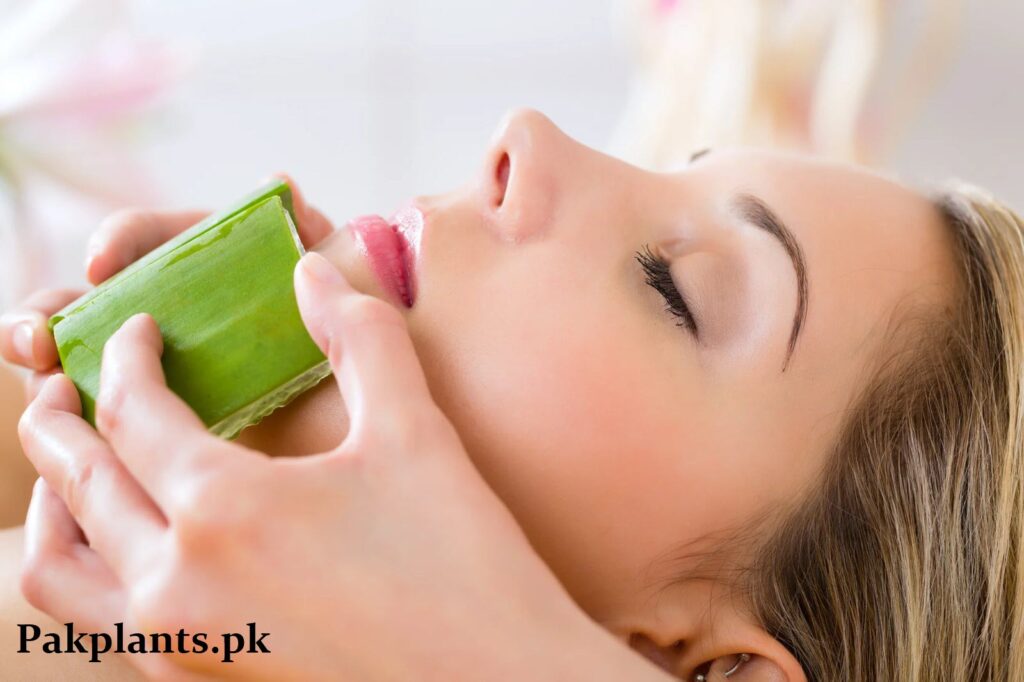 Aloe Vera Gel For Skin