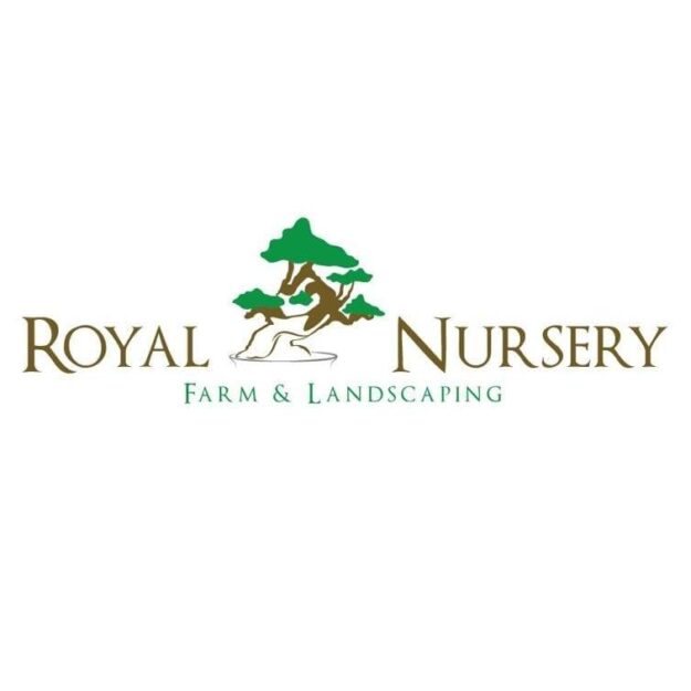 Royal Nursery Farm Pattoki