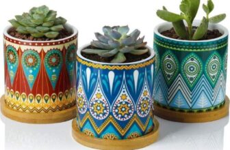 Three vibrant ceramic planters filled with various succulents, showcasing a delightful array of colors and textures.