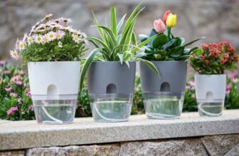 Self Watering Pots