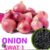 Onion Seeds SWAT-ONE